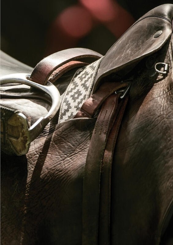 42 - US Polo ASSN 42 - US Polo ASSN