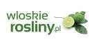 Włoskie rośliny kod rabatowy