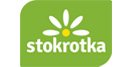 Stokrotka kod rabatowy